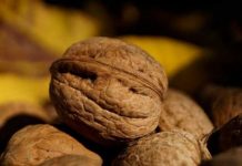 Šaka ovih oraha može da spase vaše srce: Nauka potvrdila veliku korist