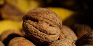 Šaka ovih oraha može da spase vaše srce: Nauka potvrdila veliku korist