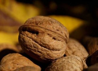 Šaka ovih oraha može da spase vaše srce: Nauka potvrdila veliku korist