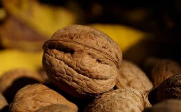 Šaka ovih oraha može da spase vaše srce: Nauka potvrdila veliku korist