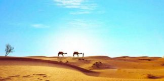 Zlatnici stari 1.400 godina pronađeni u pustinji