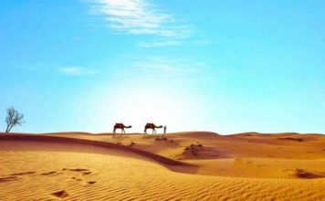 Zlatnici stari 1.400 godina pronađeni u pustinji