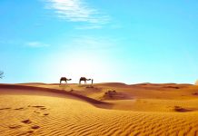 Sahara opet postaje zelena?