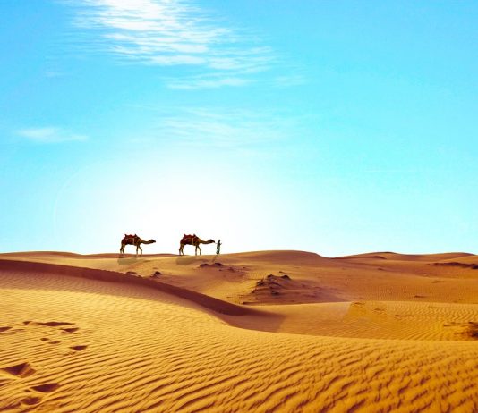 Sahara opet postaje zelena?