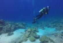 Tajne “zone sumraka”: Šta je otkriveno u dubinama Pacifika?