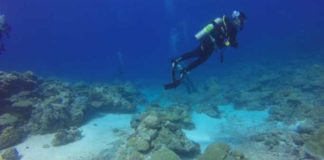 Tajne “zone sumraka”: Šta je otkriveno u dubinama Pacifika?