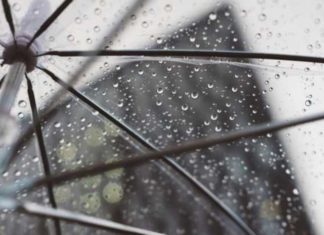 Saznajte da li ste tihi posmatrač ili neustrašivi avanturista