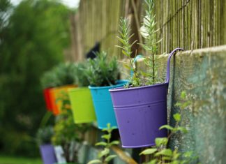 Trik sa šibicama spasiće svaku biljku koja vene