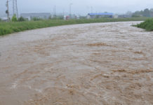 Izlila se Južna Morava u vranjskom kraju