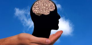 Mozak prolazi kroz pet faza tokom ljudskog života