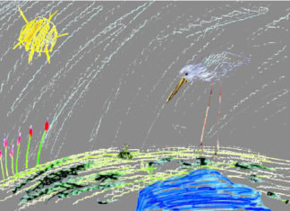 Priče za laku noć (2): Žabica lutalica