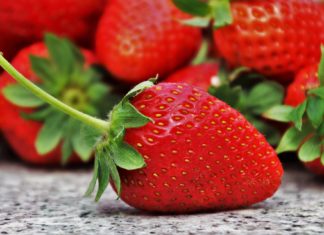 Istine jednog etnologa (6): Magija od jagoda