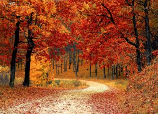 Planine Srbije koje su najlepše baš u oktobru