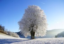 Sutra najkraći dan u godini – počinje zima
