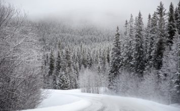 Vreme sutra: Osetno hladnije, oblačno, mestimično sa kišom, na planinama sa snegom