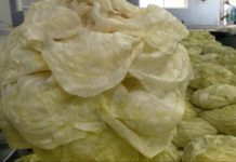 Hrana koja čuva zdravlje creva