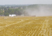 Parcela veličine Belgije