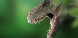 Novo interesantno otkriće u vezi legendarnog mesojeda