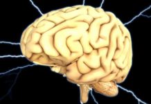 Naučnici pronašli protein koji usporava starenje mozga