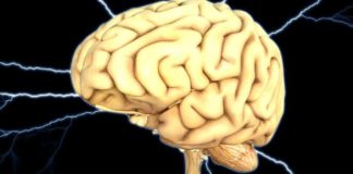 Naučnici pronašli protein koji usporava starenje mozga