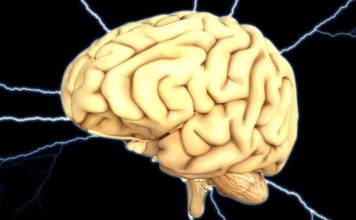 Naučnici pronašli protein koji usporava starenje mozga