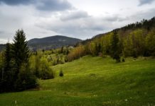 Zašto su važne planine?