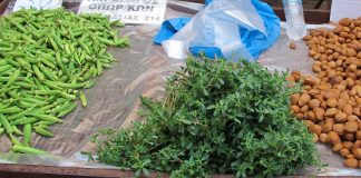 Čupate misleći da je korov, a u pitanju je jedna od najzdravijih biljaka na svetu