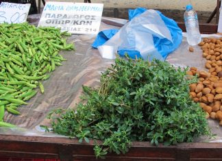 Čupate misleći da je korov, a u pitanju je jedna od najzdravijih biljaka na svetu