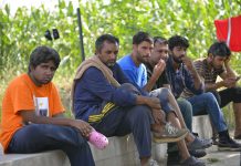 Prepolovljen priliv migranata ove godine u našu zemlju