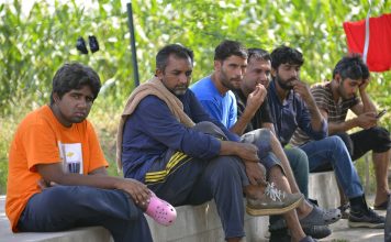 Prepolovljen priliv migranata ove godine u našu zemlju