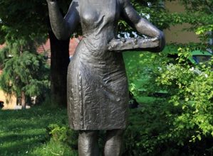 U Arilju beru maline, a zima je pred vratima