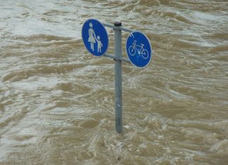 Parola snađi se na delu (VIDEO)