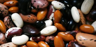 Skoro 90 odsto proteina iz supermarketa sadrži mikroplastiku