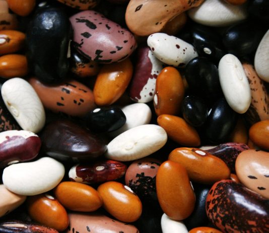 Skoro 90 odsto proteina iz supermarketa sadrži mikroplastiku