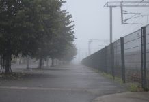 Sunčan dan posle maglovitog jutra