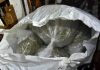 Policija zaplenila više od 120 kg marihuane