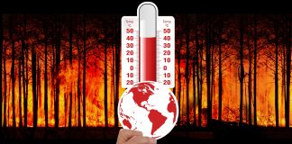 Vrućine i neaktivnost ubijaju