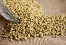 Ovo začinsko bilje gotovo uvek završava kao ukras na tanjiru, a zapravo krije brojne benefite za zdravlje srca