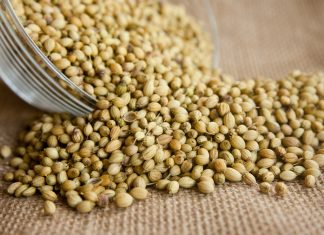 Ovo začinsko bilje gotovo uvek završava kao ukras na tanjiru, a zapravo krije brojne benefite za zdravlje srca