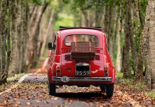 Trideset ljudi deli jedan auto