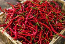 Prednosti i mane ljute hrane