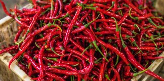 Prednosti i mane ljute hrane