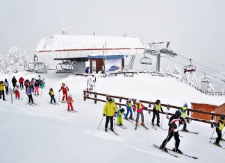 Siva zona u turizmu ozbiljno ugrožava tržište, državne prihode i bezbednost gostiju