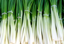 Prolećna namirnica puna vitamina: Mnogi je redovno jedu, a ni ne znaju koliko je zdrava