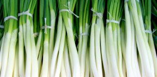 Prolećna namirnica puna vitamina: Mnogi je redovno jedu, a ni ne znaju koliko je zdrava