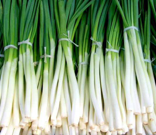 Prolećna namirnica puna vitamina: Mnogi je redovno jedu, a ni ne znaju koliko je zdrava