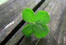 Ovog leta oni će imati najviše sreće i novca