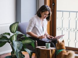Šta da izbegavate, a šta da radite kako bi sobne biljke dočekale proleće zdrave