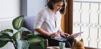 Šta da izbegavate, a šta da radite kako bi sobne biljke dočekale proleće zdrave