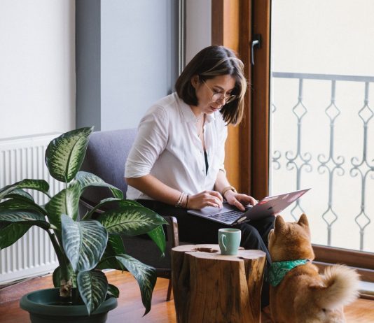 Šta da izbegavate, a šta da radite kako bi sobne biljke dočekale proleće zdrave